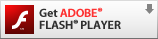 Adobe Flash Player Download