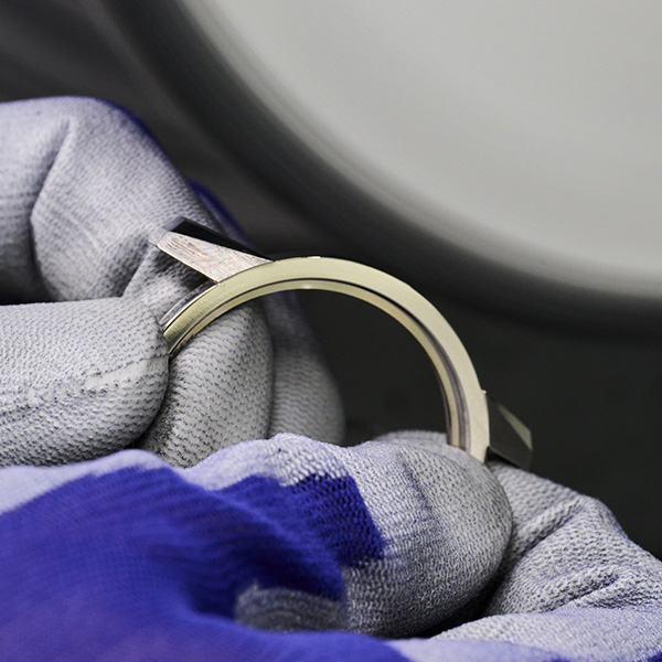 Exterior Finishing (Light Polishing of the Case)