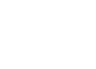 柴色 fushi-iro