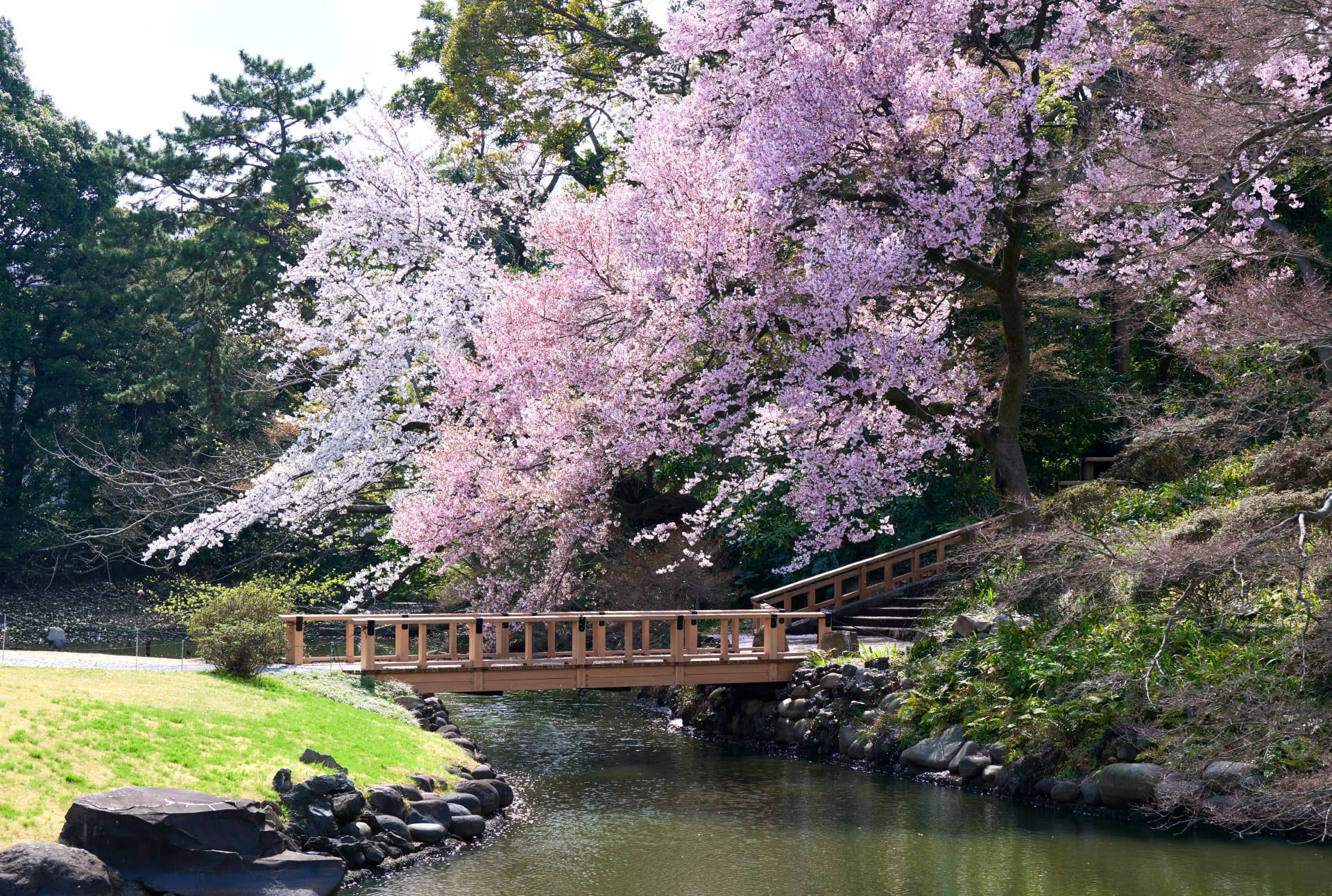 Poto of Shinjuku Gyoen