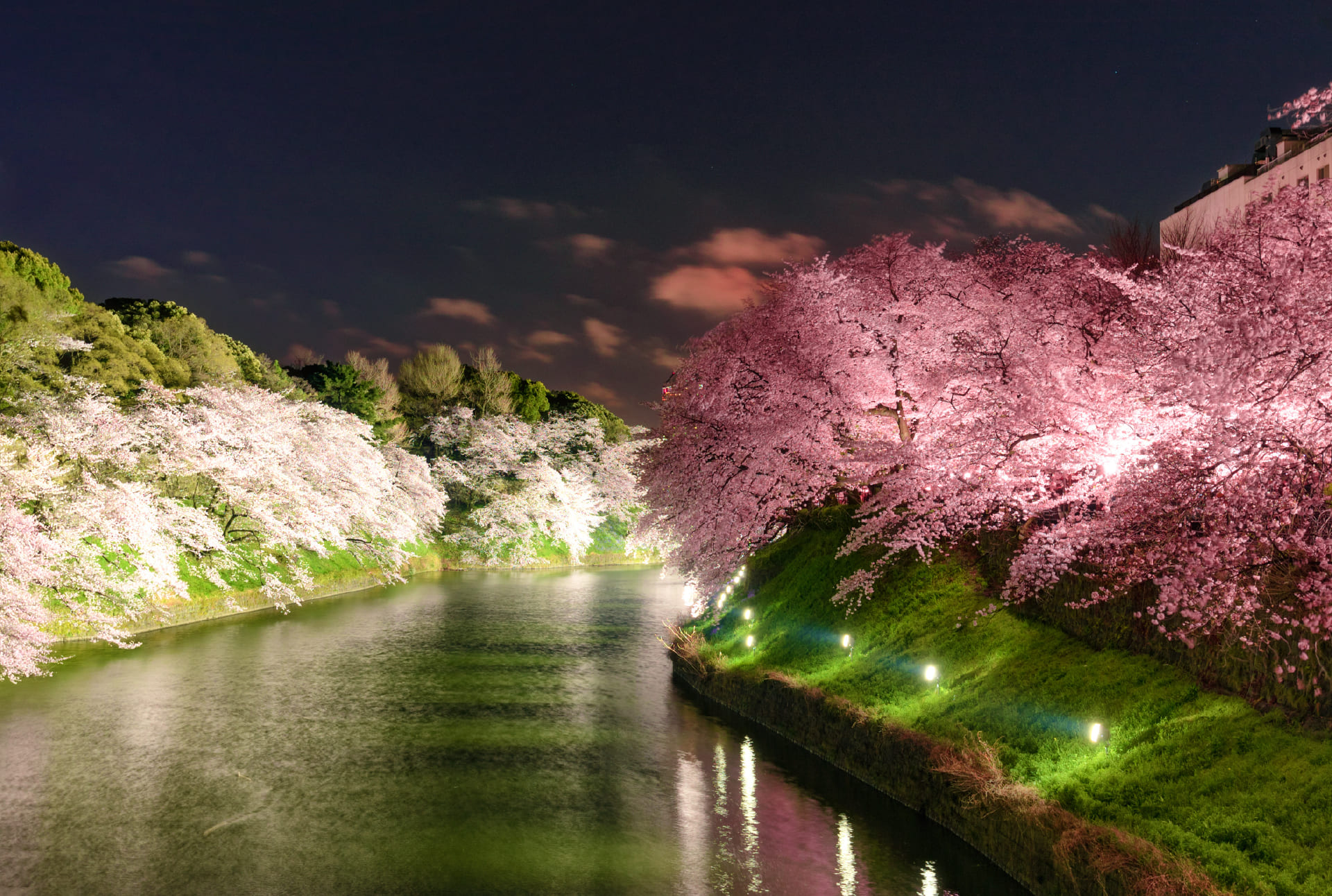 Poto of Chidorigafuchi Green Way